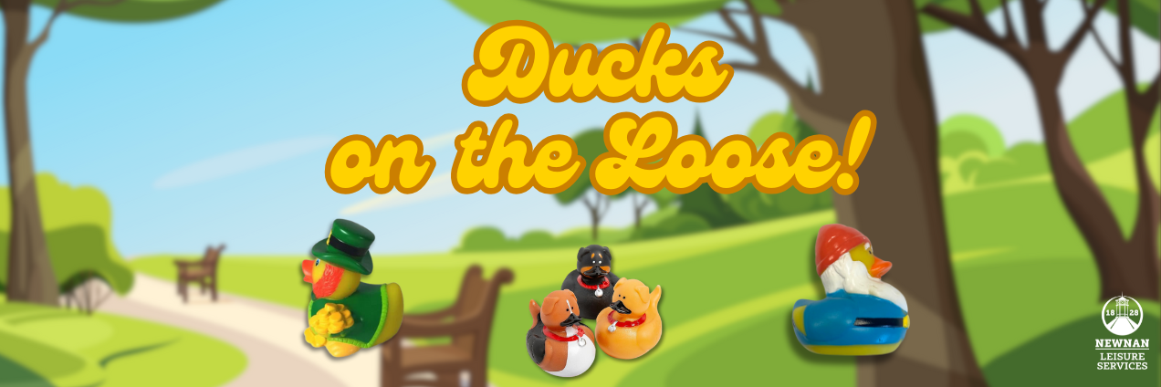 Leisure Services Ducks on the Loose Banner